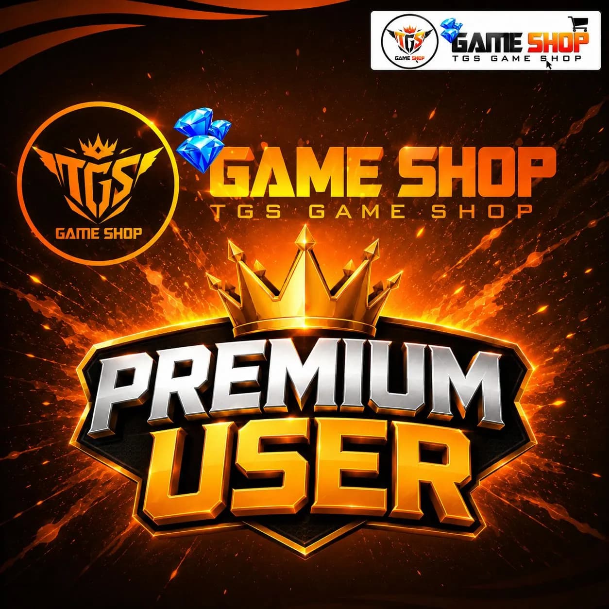 Premium User